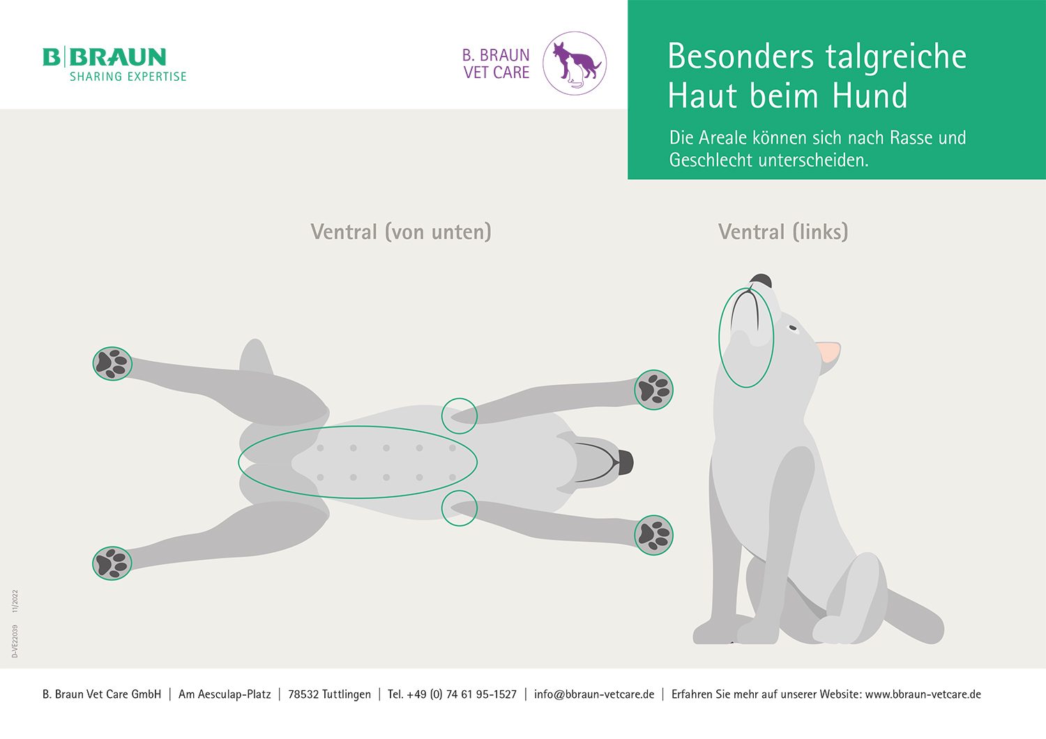 Grafik: Besonders talgreiche Haut beim Hund