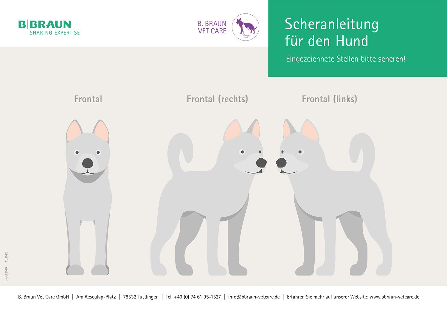 Auszug: Alle Ansichten des Hundes als PDF-Download